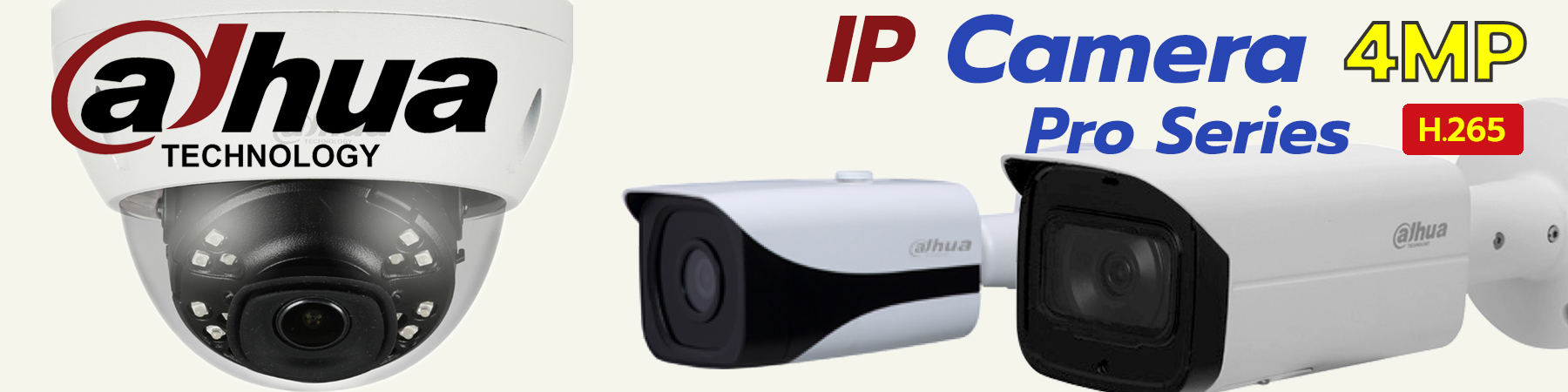 Dahua IP Camera Pro Series,Dahua Pro Series,Dahua IPC,Dahua IPC Pro Series 6MP,Dahua Built-in Mic,Dahua Network Camera